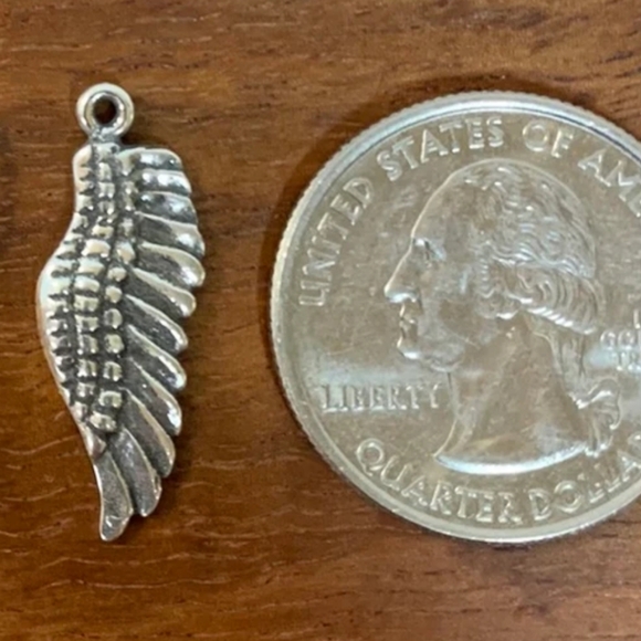 Angel Wing charm 🪽 - Picture 2 of 3